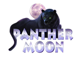 Panther Moon игровой автомат